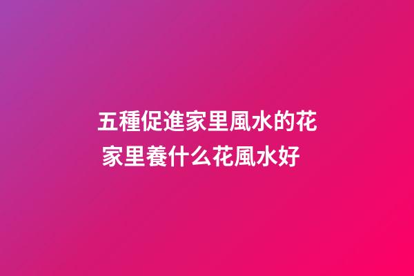 五種促進家里風水的花 家里養什么花風水好
